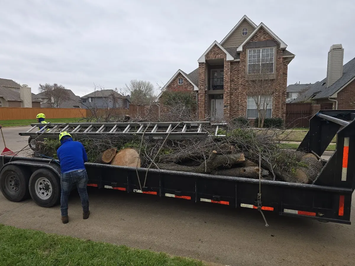 Expert Tree Fertilization with proper safety equipment in Arcadia